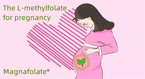 L-metylfolatet for gravide