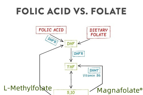 Sammendrag av folat og L-metylfolat