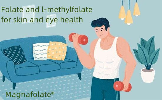 Folat og l-metylfolat for hud- og øyehelse