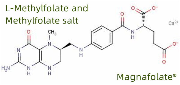Global produsent og leverandør av L Methylfolate