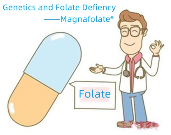 Genetikk og folatmangel - Magnafolat