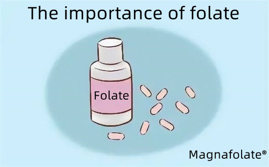 Viktigheten av folat-magnafolat