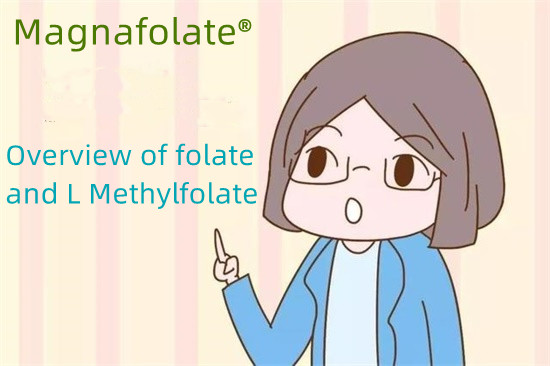 Oversikt over folat og L Metylfolat