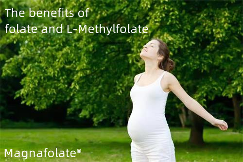 Folat og graviditet——Magnafolat