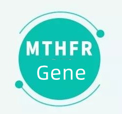 Hva betyr det hvis du har MTHFR-genet?
