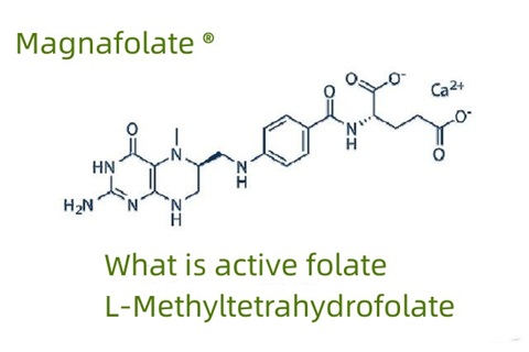 Hva er aktivt folat og L-metyltetrahydrofolat