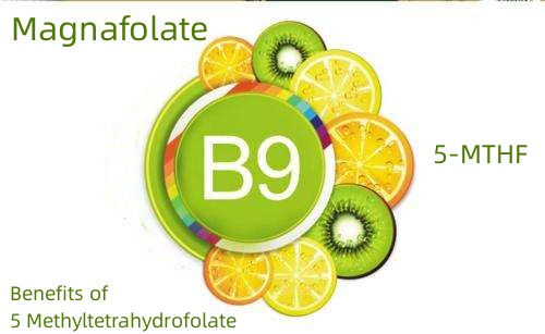 Fordeler med 5 Methyltetrahydrofolate