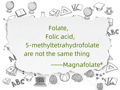 Folat, folsyre og 5-metyltetrahydrofolat er ikke det samme