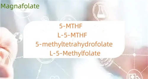 Hva er forskjellen mellom 5-metyltetrahydrofolat og folat