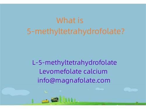 Hva er 5-metyltetrahydrofolat?