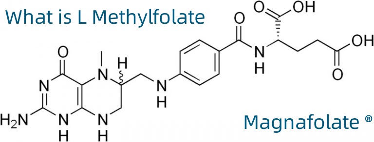 L-5-metyltetrahydrofolatkalsium CAS-nr.:151533-22-1