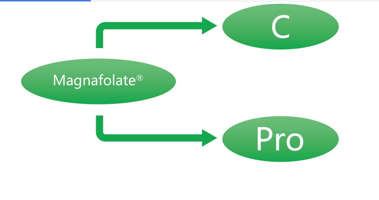 Magnafolat C og Pro—L-Methylfolate Calcium
