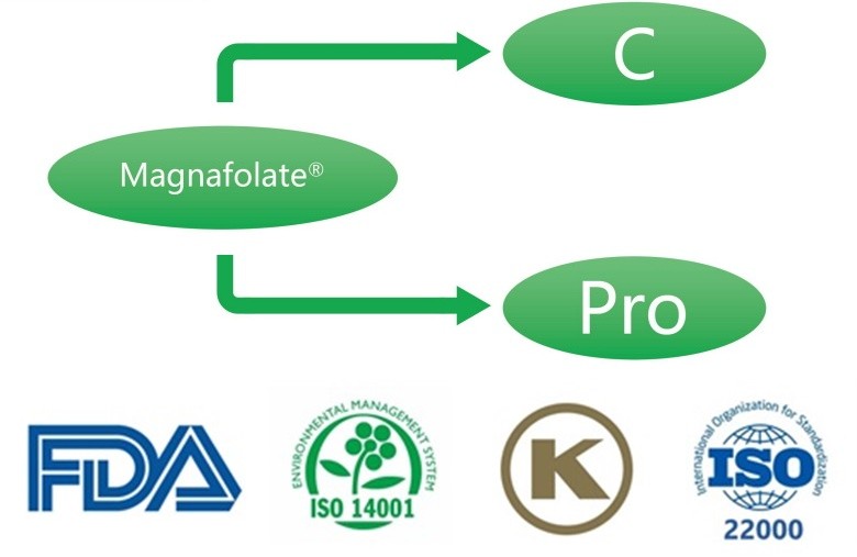 Hva er kalsium L-5-metyltetrahydrofolat? Hva er leverandørene?
