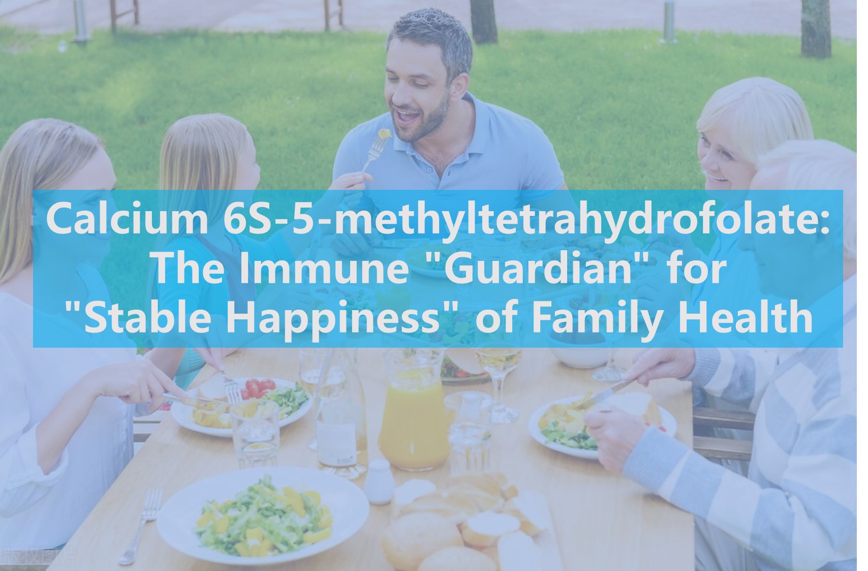Kalsium 6S-5-metyltetrahydrofolat: The Immune 